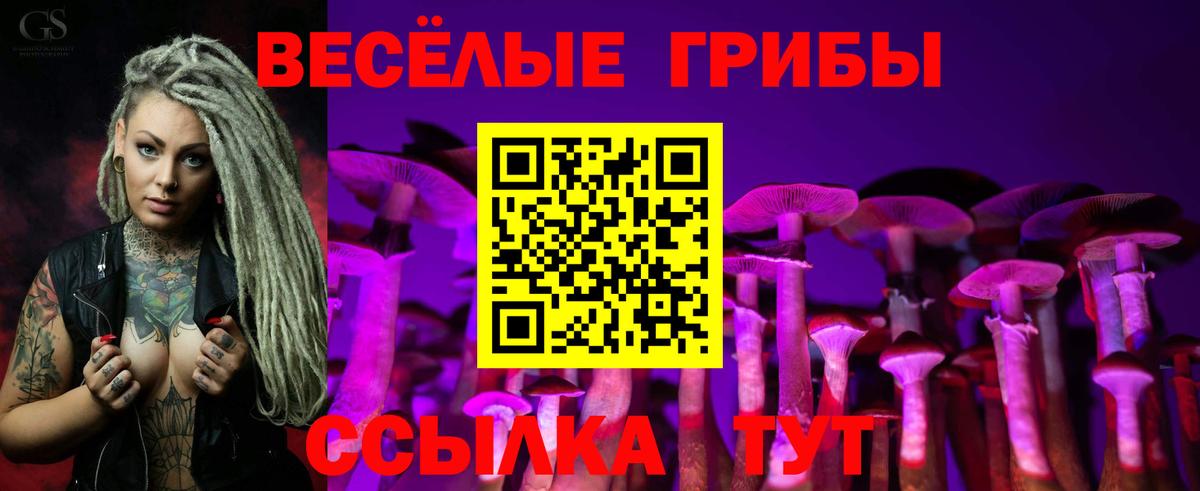 Псилоцибиновые грибы Magic Shrooms  Псилоцибиновые грибы GOLDEN TEACHER  Новый Уренгой  Вход с VPN 